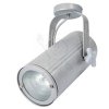 SCENA PS10 srebrny G12 70W Brilum 8244