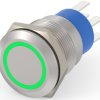 Vandal-proof pushbutton, 2 pole, silver, illuminated  (green), 5 A/250 VAC, mounting Ø 19.2 mm, IP67, 5-2213764-3