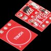 Developer Boards - Capacitive Touch Sensor