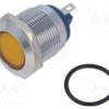 IND19-12Y-C
