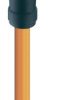 Sensor actuator cable, M8-cable socket, angled to open end, 3 pole, 2 m, PVC, orange, 4 A, 11324