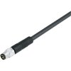 Binder 79-3406-52-03 Female 3 Pin Moulded Terminal 3-x .25mm2-PVC 2m Cable