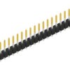 Pin header, 21 pole, pitch 2.54 mm, straight, black, 10053940