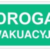 ZNAK - AC051 Droga ewakuacyjna 20 x 10 cm FS - Folia samoprzylepna foto.
