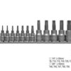 Komplet kluczy trzpieniowych TORX na szynie, 12 części YT-0430 YATO