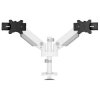 Neomounts DS65S-950WH2 Monitor desk mount, white, height-adjustable, tiltable