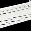 26210281 19-inch shelf, 1 U, gray