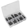 Sealey TCFT100AS Fir Tree Clip Assortment - Pack of 100