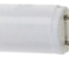 Incandescent bulb, Bi-Pin T1 1/4, 0.84 W, 24 V (DC), 2700 K, clear, BP24240351