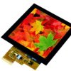 Kolorowy wyświetlacz LCD 4cal TFT 720 x 720pikseli Parallel, RGB I/F Tak Display Visions