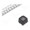 55RF-W1SA27HS-M42