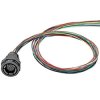 Przewód czujnik-siłownik liczba rdzeni 17 długość 500mm Rodzaj A Żeńskie Złącze B Złącze typu Pigtail