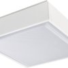 Lampa sufitowa RIDI 0627723AH 0627723AH 1510 lm biały