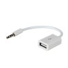 Adapter z kablem Akyga AK-AD-24 USB A (f) / mini Jack (m) 15cm