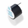 Buzzer Speaker