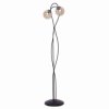 Lampa podłogowa FLORO z dwoma szklanym kloszami K-5129 Kaja Lighting