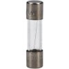 R-TECH 260042 5X20mm 500mA 250VAC glass fuse fast acting fuse
