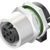 Weidmüller 2424050000 Złącze niekonfekcjonowane czujnika/aktuatora SAIE-M12BB-4-H5.5TL, piny: 4, 10 szt.