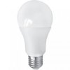 LAMPA LED E27 11,5W C.BI.