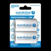 Akumulatorki R20/D Ni-MH 10000 mAh everActive – 2 sztuki