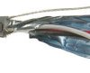 Wielożyłowy kabel przemysłowy 0.2 mm² 3 -rdzeniowy Ekranowany 24 AWG AWG PVC 300 V