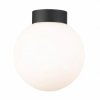 Lampa sufitowa z szklanym kloszem ARCTURUS kolor czarny - C0574-01D-P7AA Zuma Line