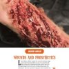 Macabre Makeup: Wounds and Prosthetics - PDF