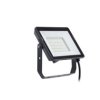 Naświetlacz LED BVP008 50W 4000K 871951453295399 PILA PHILIPS