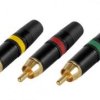 WTYK RCA NEUTRIK