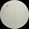 65410085 Leitz Ergo Cosy Active seat ball, anti-roll, 55 cm, grey