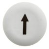 Wkładka do przycisku 22mm płaska biała do ZB5-AA0 STRZALKA ZBA334