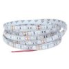 Taśma 300X Led 5050 Smd 14,4W/M 12V Czerwona Ip65 Op 5M