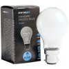 B22d 230V 60W matt A55/AL Patron 2250