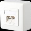 130C380002-I CAT.6A module 2 port AP pure white