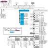 16/32 Bit RISC Flash MCU, Arm Cortex-R4F, Auto Q-100 | PGE | 144 | -40 to 125