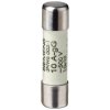 Microfuse 10 x 38 mm, 0.5 A, gG, 500 V (AC), 100 kA breaking capacity, 3NW6000-1