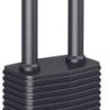Kłódka Basi 6151-5000 59 mm Zamykana na klucz z zamkiem kluczykowym