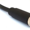 Sensor actuator cable, M8-cable socket, straight to open end, 4 pole, 1 m, PVC, black, 3 A, PXPPVC08FBF04ACL010PVC