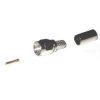 W-SMARP/H155