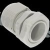GLAND-P1613-GR-LN-CT