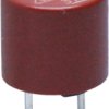 Micro fuse TR5, 100 mA, F, 250 V (AC), 35 A breaking capacity, 37001000430