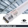 Świetlówka led T8 G13 60cm 9W 6500K 900lm PC Prescot Flicker free