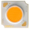 Dioda LED COB, XLamp, 35 V, 1050 (Maximum)mA, Biały, 9mm, 41W, 115°