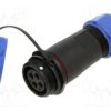 SP2111/S4II-9C