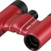 Nikon Lornetka Nikon Aculon T02 8x21, 8x, 2,1 cm, Rot, 195 g 8 x 21 mm dachowy czerwony BAA860WA