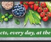 LH37SHCEBGBXEN Advertising display, Signage Stretch, 93.7 cm (37