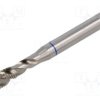 VOLKEL-36446