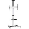 MyWall HP101L TV trolley height-adjustable portrait mount for 37"-70" screens