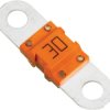 Screw lock, 30 A, 32 V, orange, (L x W x H) 42 x 12 x 7.8 mm, 153.5631.5301