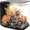 Akwarium akrylowe Oase biOrb FLOW 15 LED schwarz 72029, z Podświetleniem LED, 15 l, (D x S x W) 208 x 300 x 315 mm